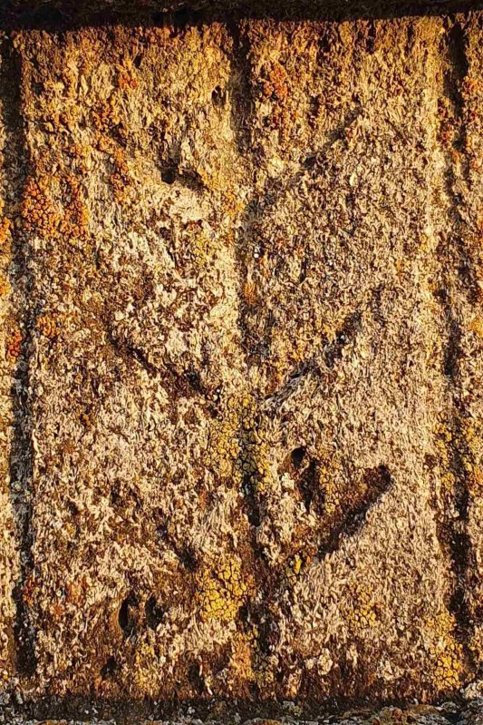 „Crucile din Bărăgan marchează drumurile, iar textele ne arată scopul ridicării lor” 272090