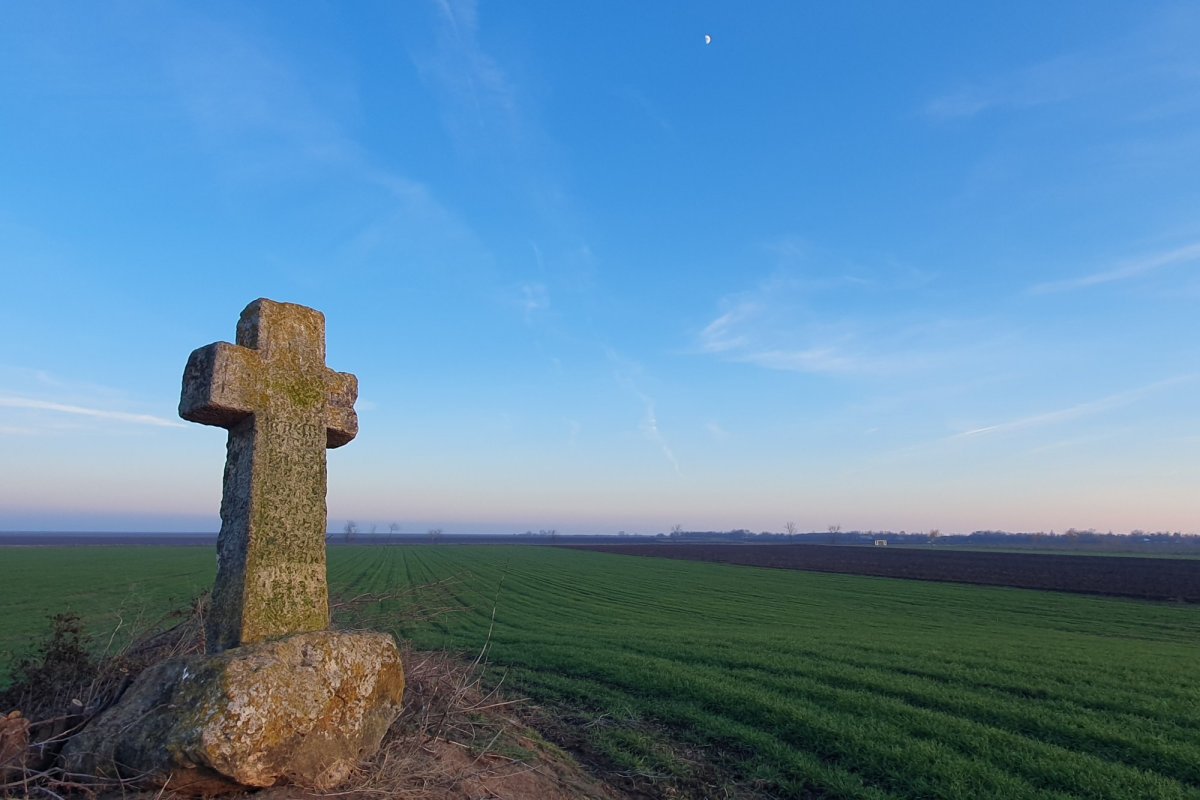 „Crucile din Bărăgan marchează drumurile, iar textele ne arată scopul ridicării lor” 272099