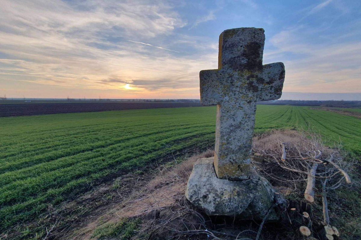 „Crucile din Bărăgan marchează drumurile, iar textele ne arată scopul ridicării lor” 272106