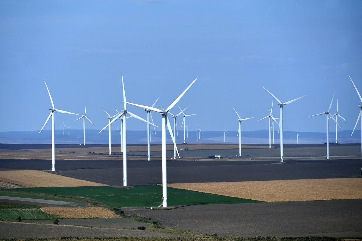 Investiţiile fermierilor în producerea de energie electrică vor fi subvenţionate 273489