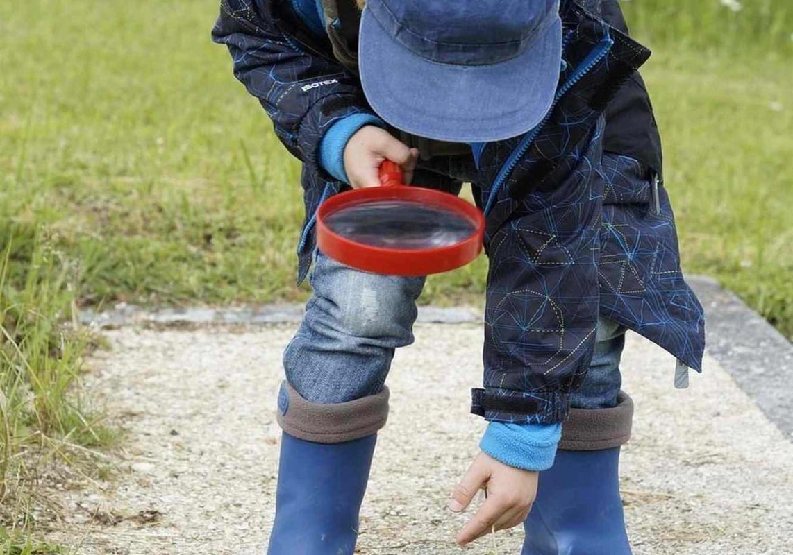 Reguli pentru „Săptămâna verde”  274327