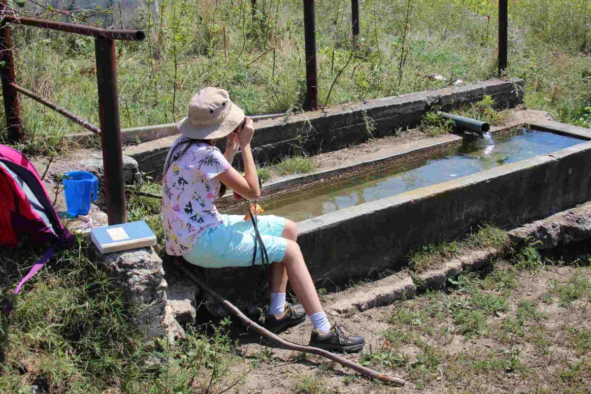 Schimbări climatice din trecut și prezent. Câteva puncte de reper 274427