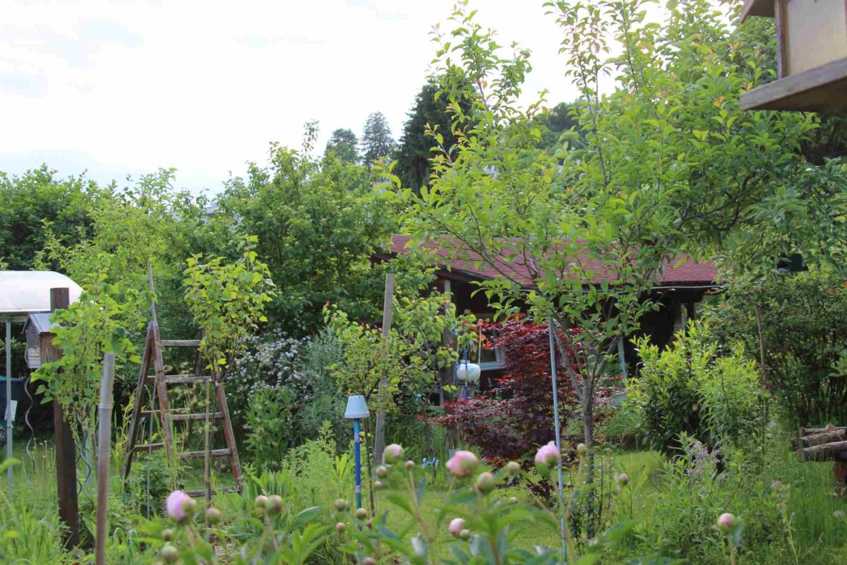 Schimbări climatice din trecut și prezent. Câteva puncte de reper 274428