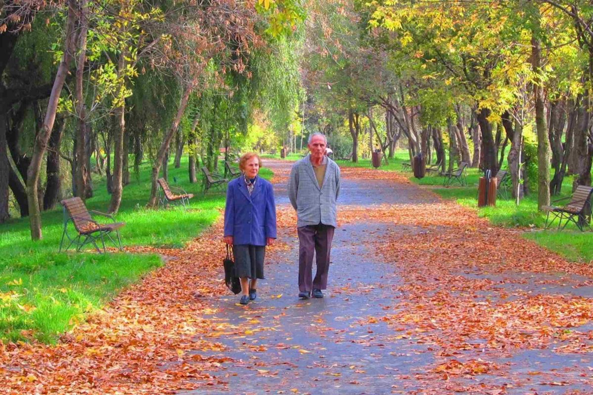 POEZIE: Alexandru Dumitru 277030