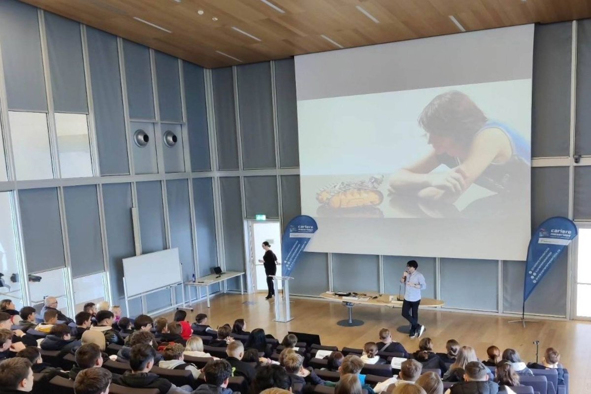 Orientare școlară pentru elevii clasei a VIII-a 277312