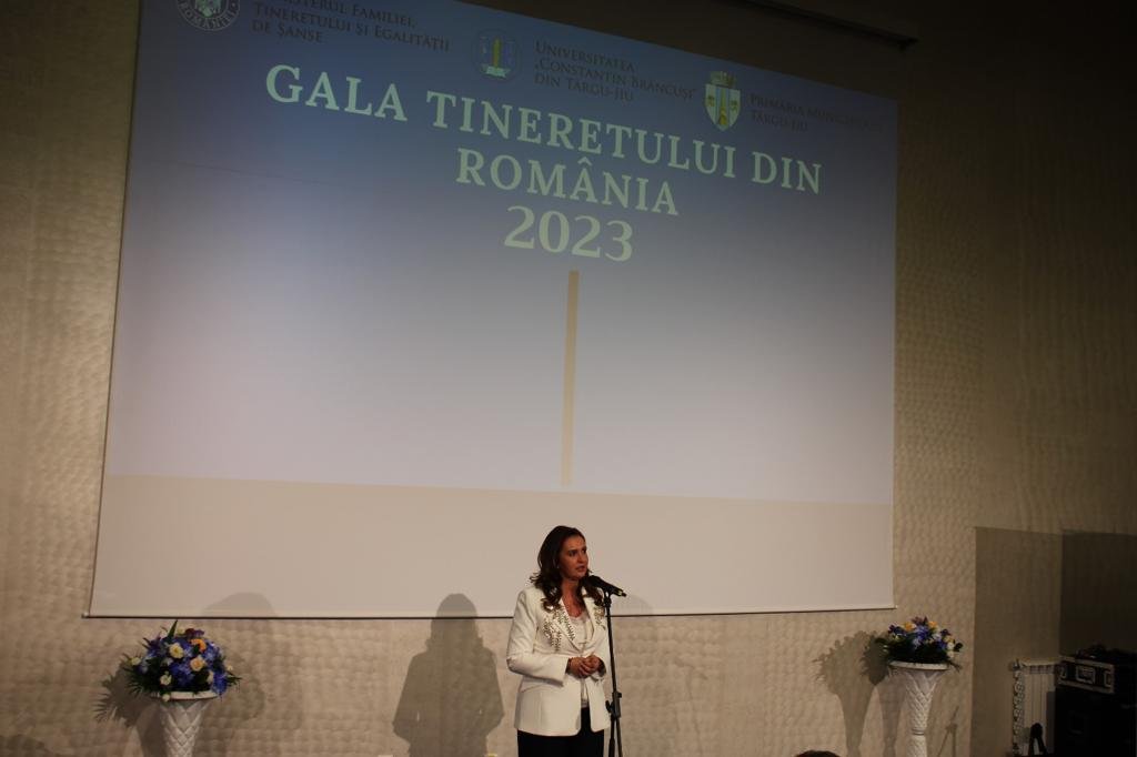 Bucuria rodirii proiectelor frumoase 277418