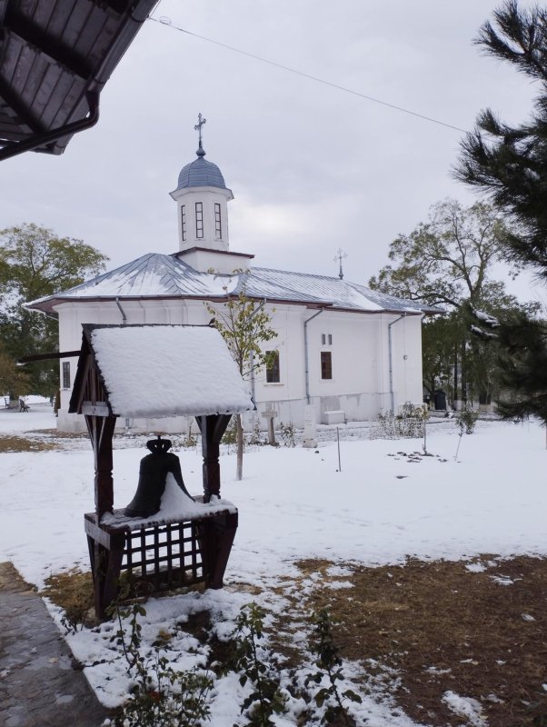 Între frați, drumul de acasă până acasă este mai ușor 277883