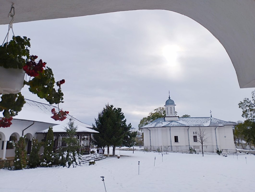 Între frați, drumul de acasă până acasă este mai ușor 277884