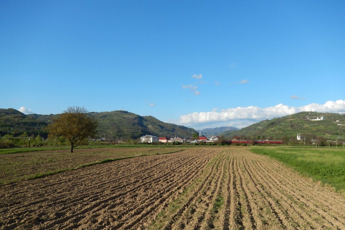 Statele UE, obligate să refacă cel puțin 20% din terenurile degradate  278366