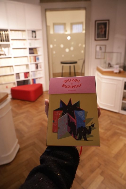 „Liceenii read’n roll” la Muzeul Național de Literatură Română  278564