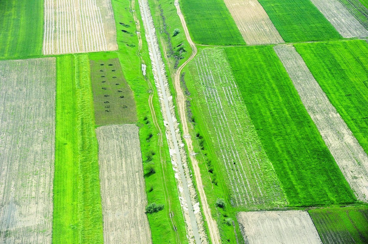 Creștere modestă a valorii producției agricole 278725