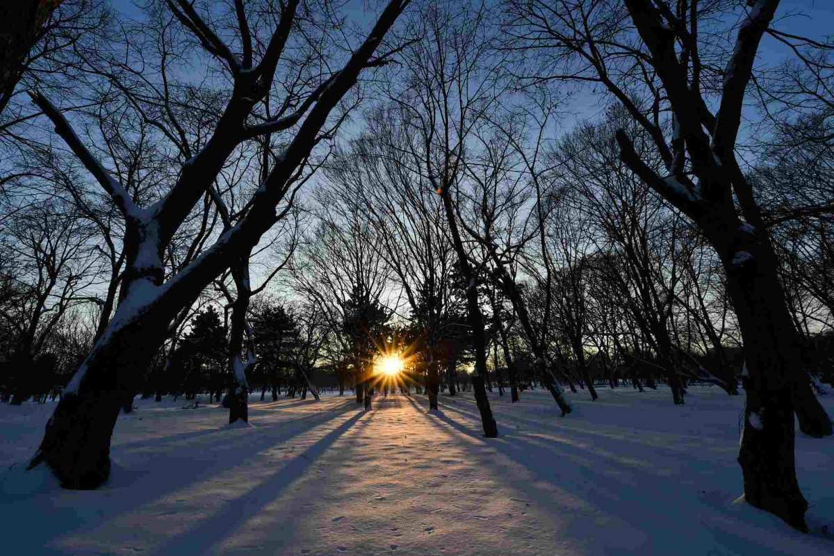 Lupta duhovnicească  a păcătosului 278732