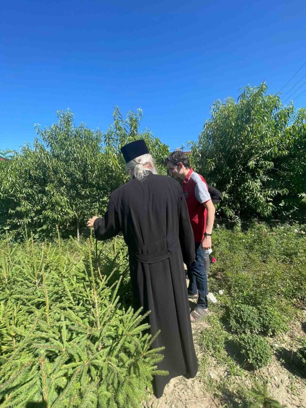 Milostenia e virtutea care ajunge la Tronul Sfintei Treimi 278464