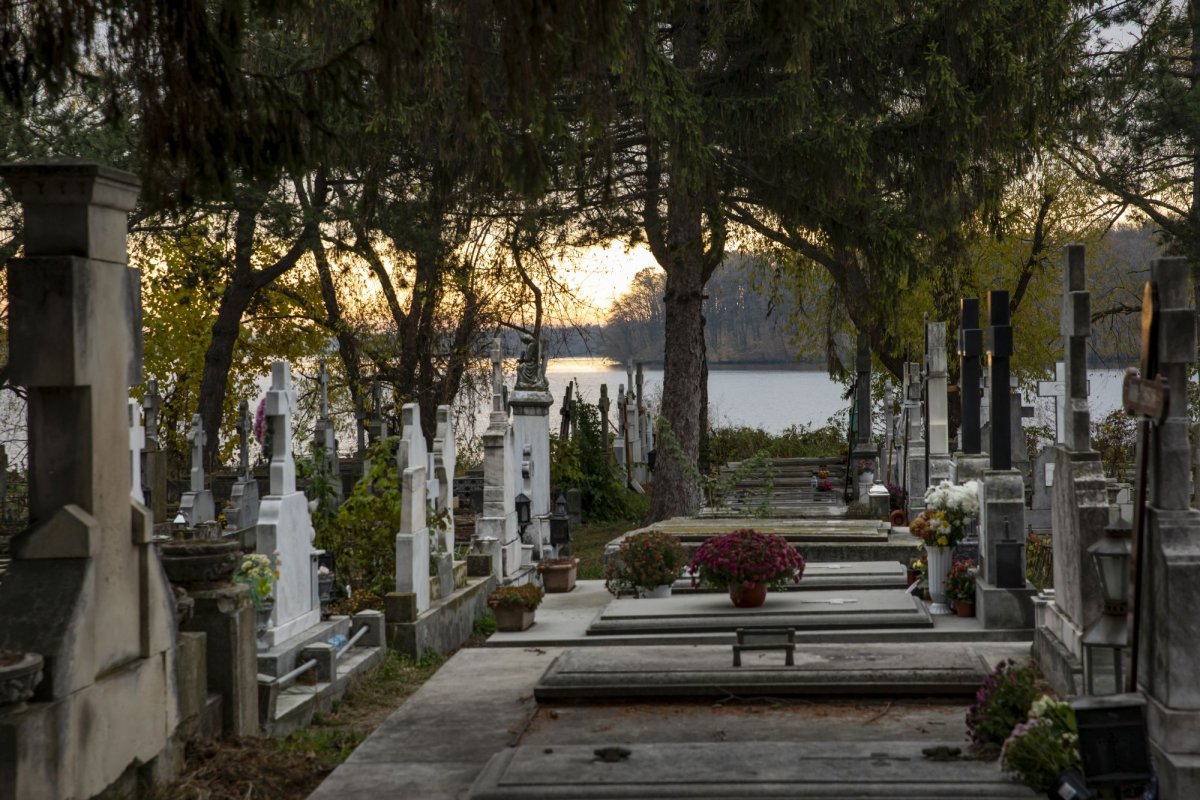 Prăznuirea Sfântului Cuvios Gheorghe în ctitoria sa de la Cernica 279287