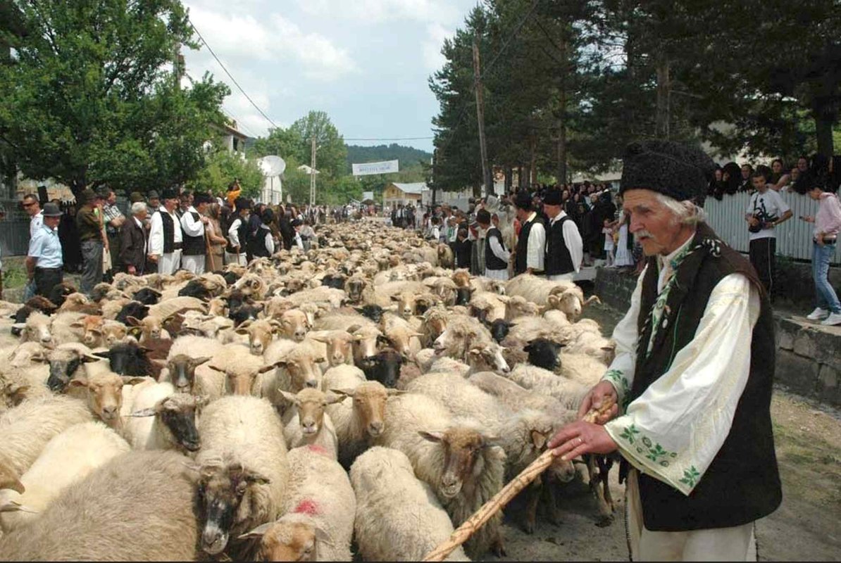 Transhumanța pe lista patrimoniului UNESCO 279937