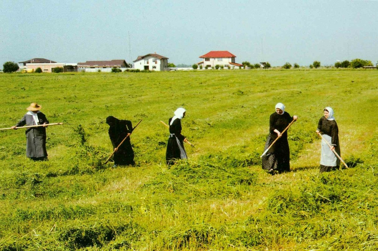 Cum ne vindecăm de lene? 280127