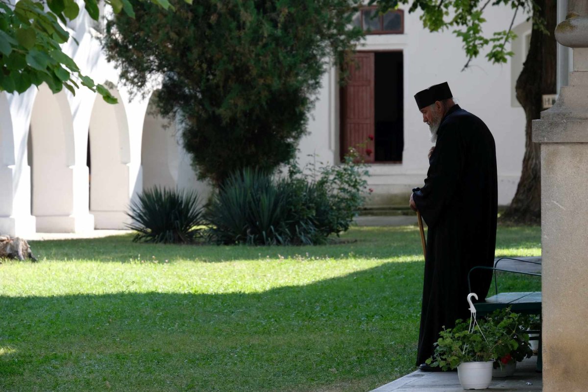 Când cineva are grijă de tine, să nu poruncești 281443