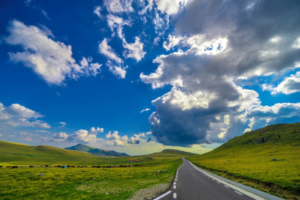 Cum scăpăm de griji? 281488