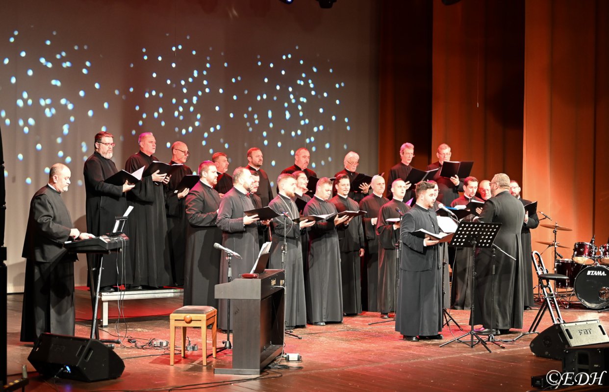 Concert catehetic şi caritabil  la Deva 281829