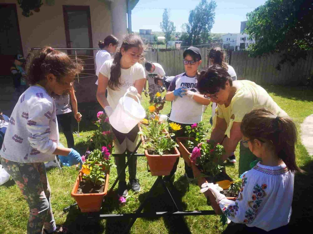 Proiectele „Alege școala!” au ajuns la final, dar misiunea lor continuă 281789