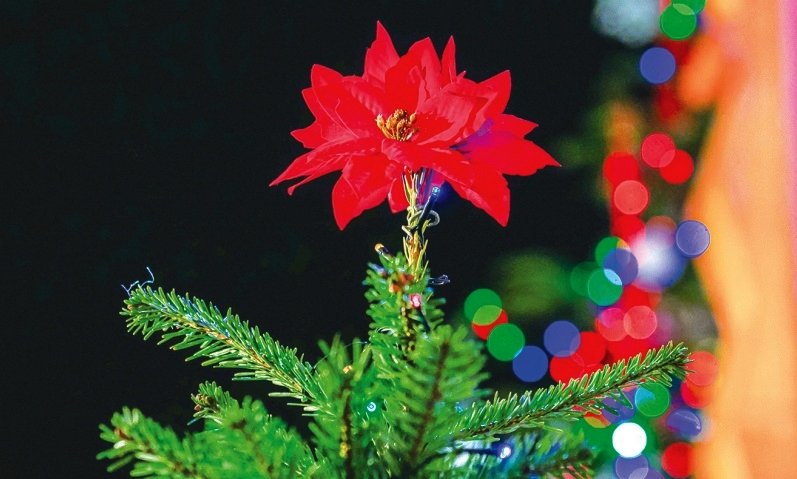 Răsună seara de colinde 282064