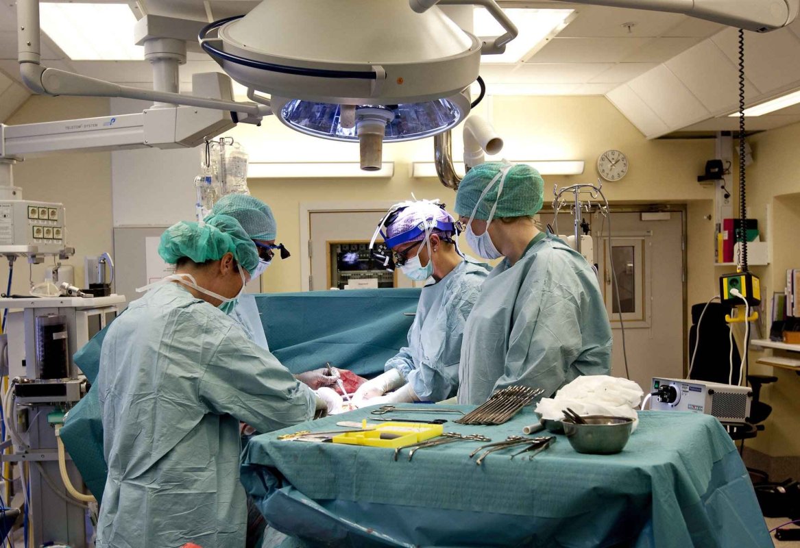 Bolile și vindecarea, suferința și mântuirea 282650