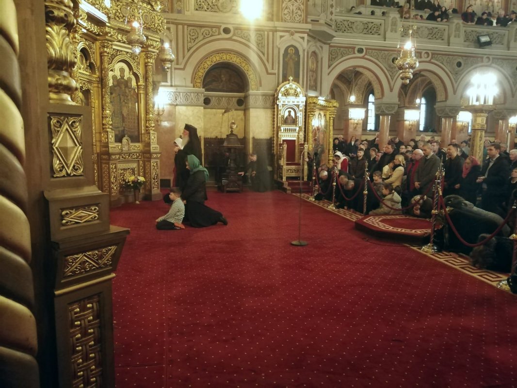 Sărbătorirea Sfântului Ioan Botezătorul la Timișoara 283529