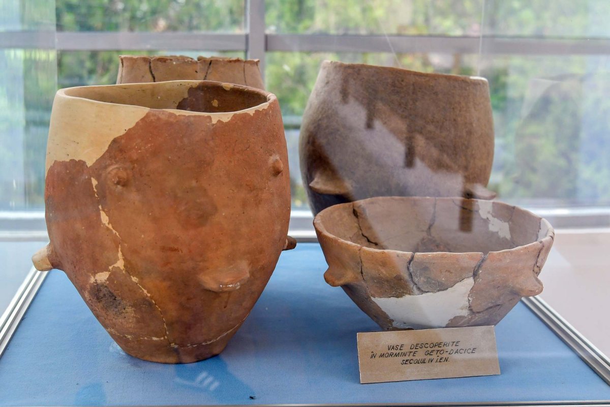 Avertismentele istoriei 283338