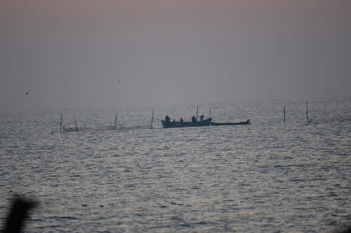 La 1 februarie începe prohibiția la știucă 284562