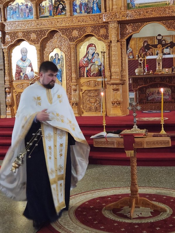 Ziua Unirii Principatelor Române sărbătorită în Canada 284913