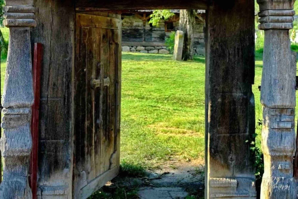 Despre zorii democrației 284950