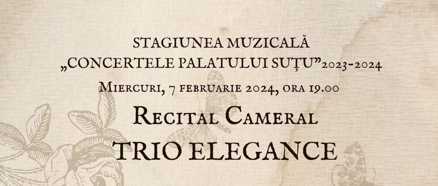 Recital cameral la Palatul Suțu 285622