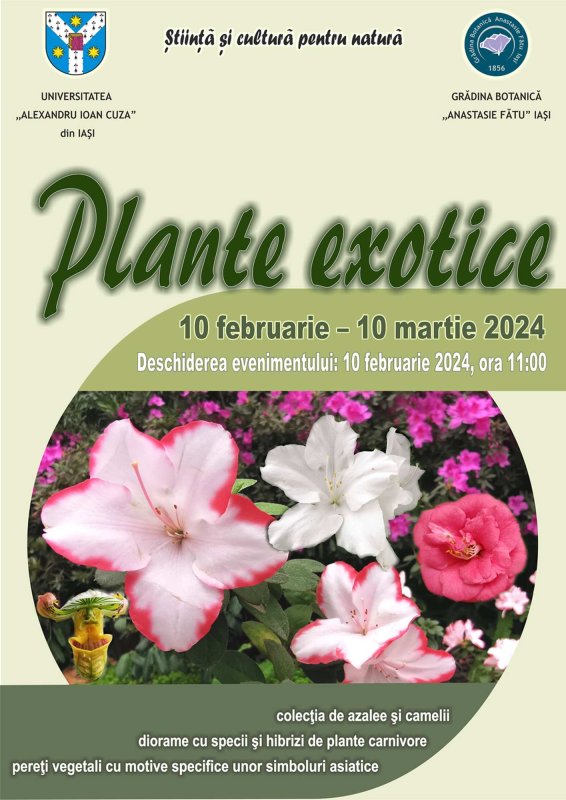 Expoziție de plante exotice la Iași 286132