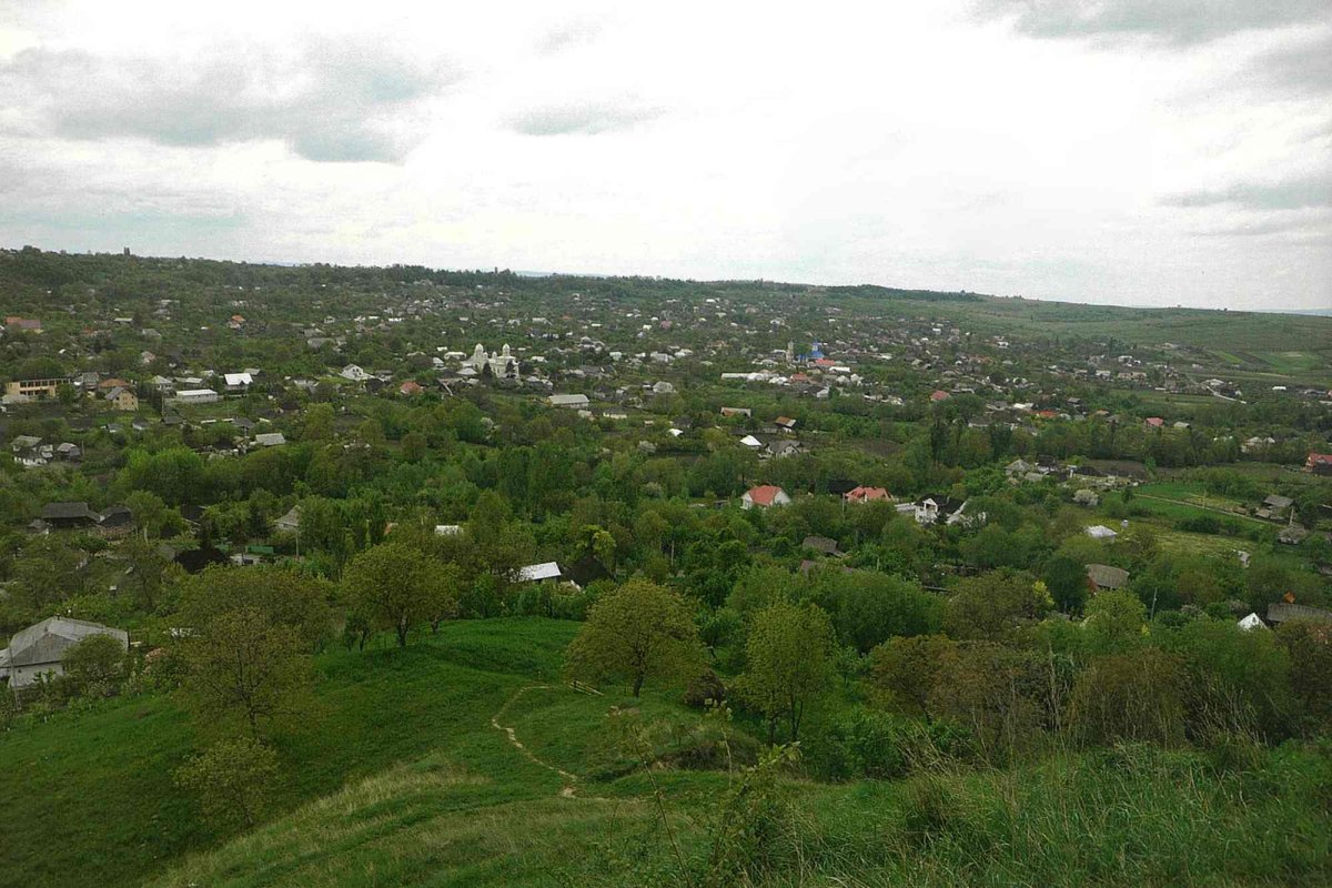 De la rădăcini la mlădițe 286280