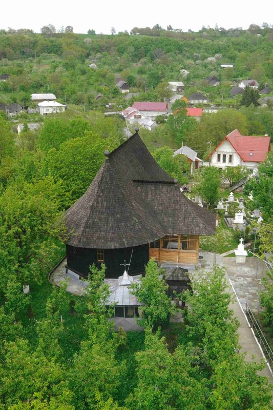 De la rădăcini la mlădițe 286281