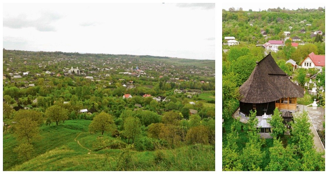 De la rădăcini la mlădițe 286284