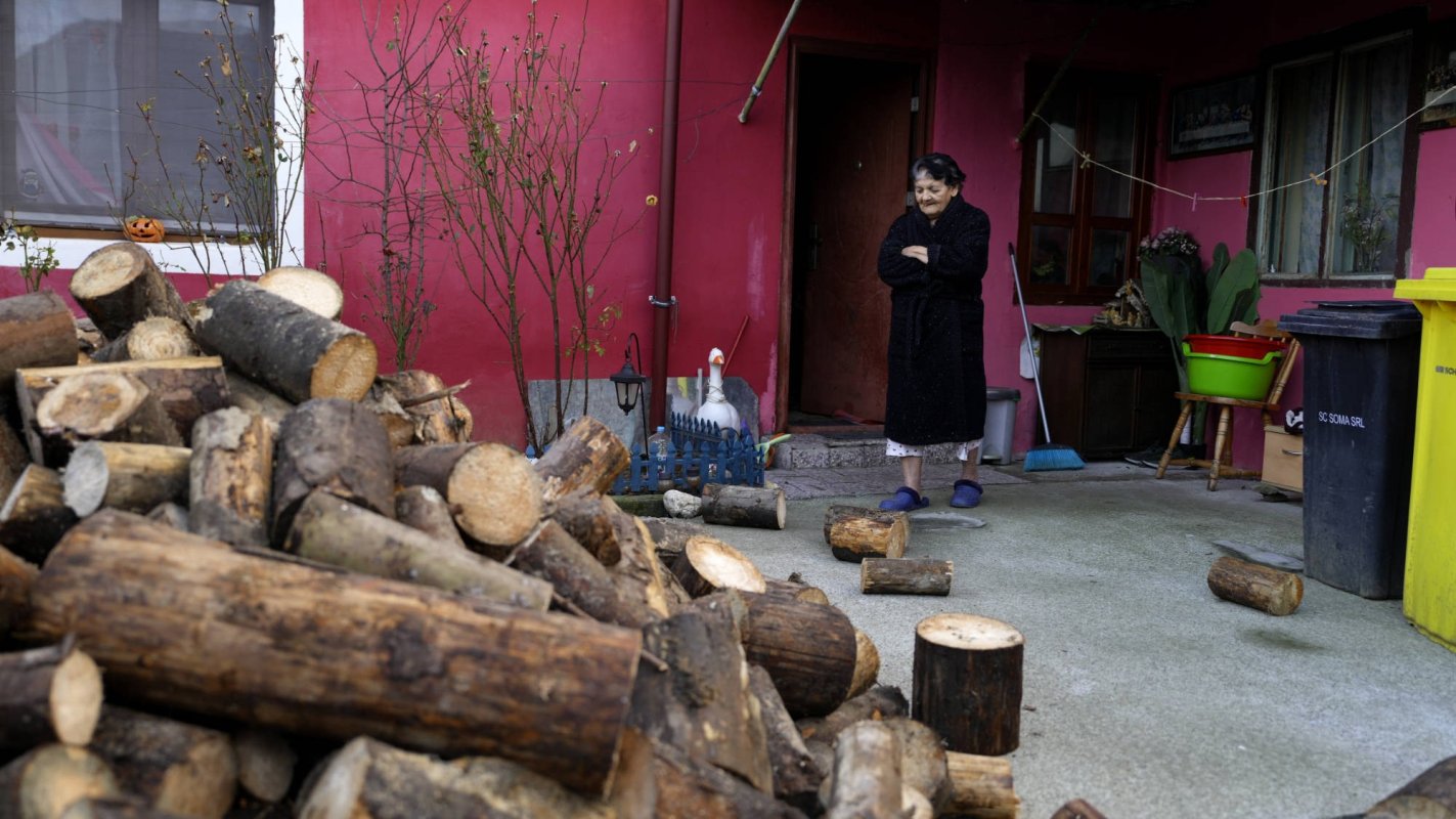 Lemne de foc și alimente pentru bătrâni din județul Sibiu 286410