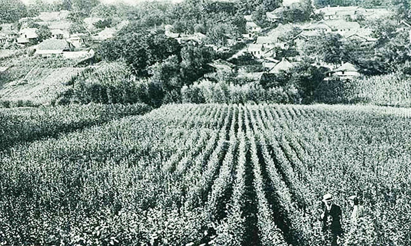 Șase secole de existență  a Rădășenilor 286394