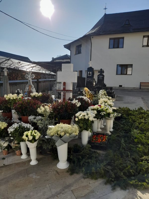 Alte cuvinte din cântecul amintirii 286494