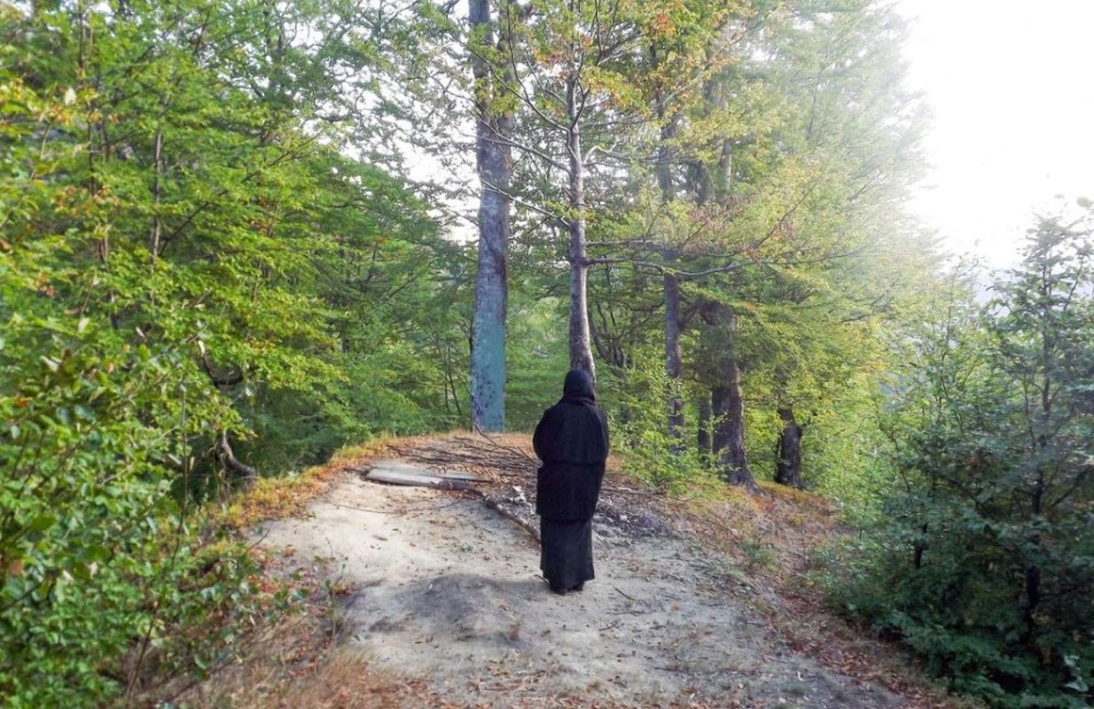 Tăcerea și smerenia 286659