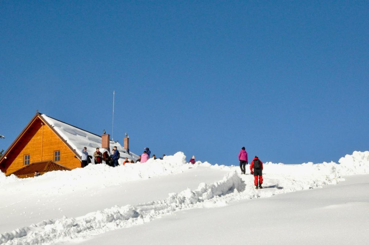 Tabără de iarnă la Mănăstirea Oașa, organizată de ASCOR Alba Iulia 286778