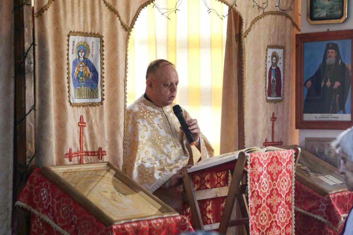 Comuniune duhovnicească și misiune la căminul-spital din Săliște, Sibiu 286364