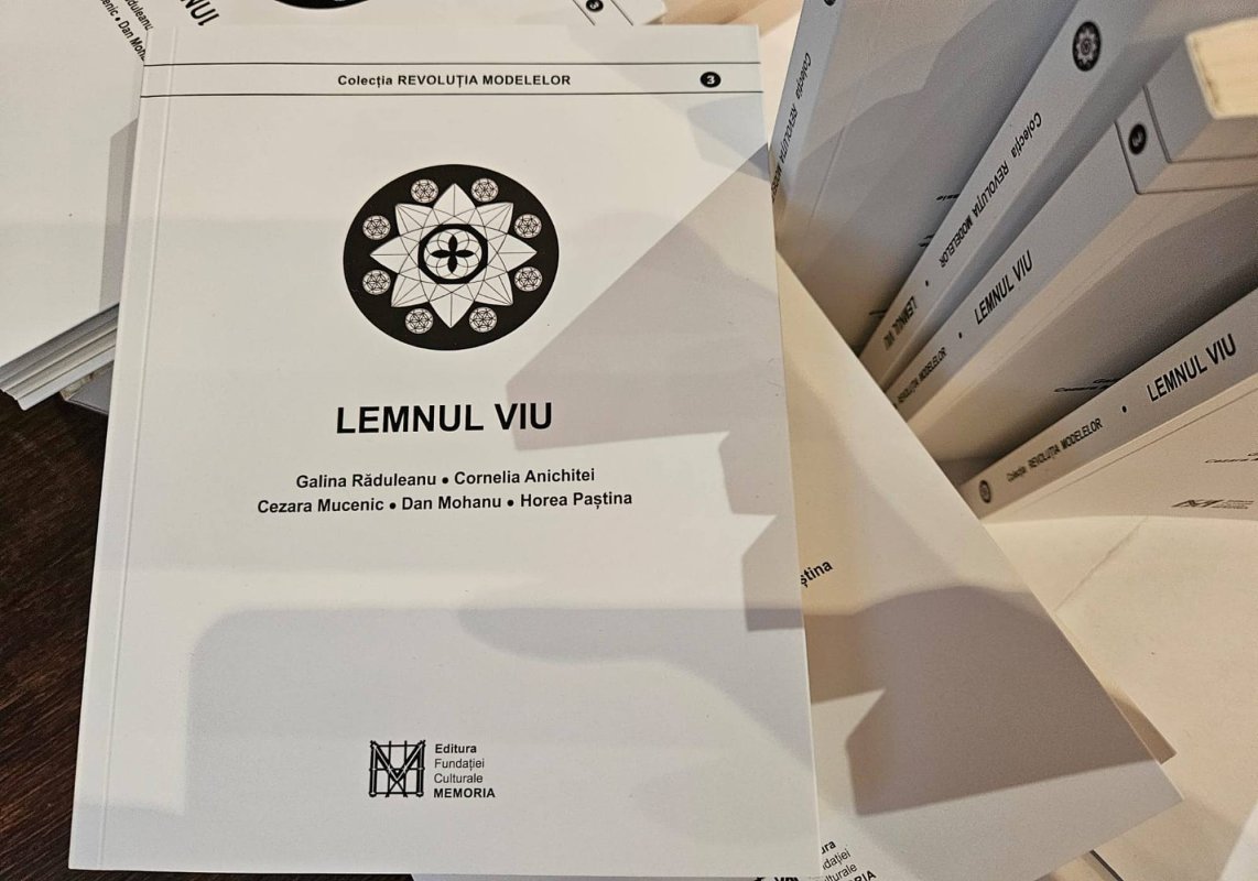 Modele de azi pentru lumea de mâine 287149