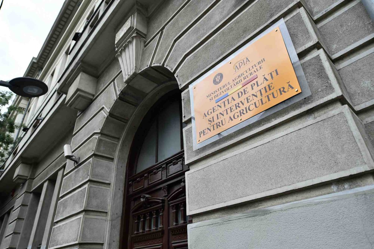 Amânare pentru Campania de depunere a cererilor de plată 2024 287395