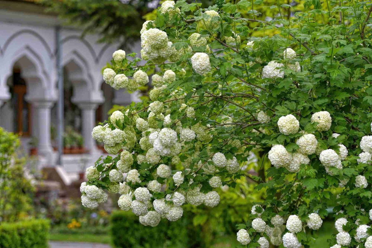 Când banii nu sunt folosiți bine... 273502