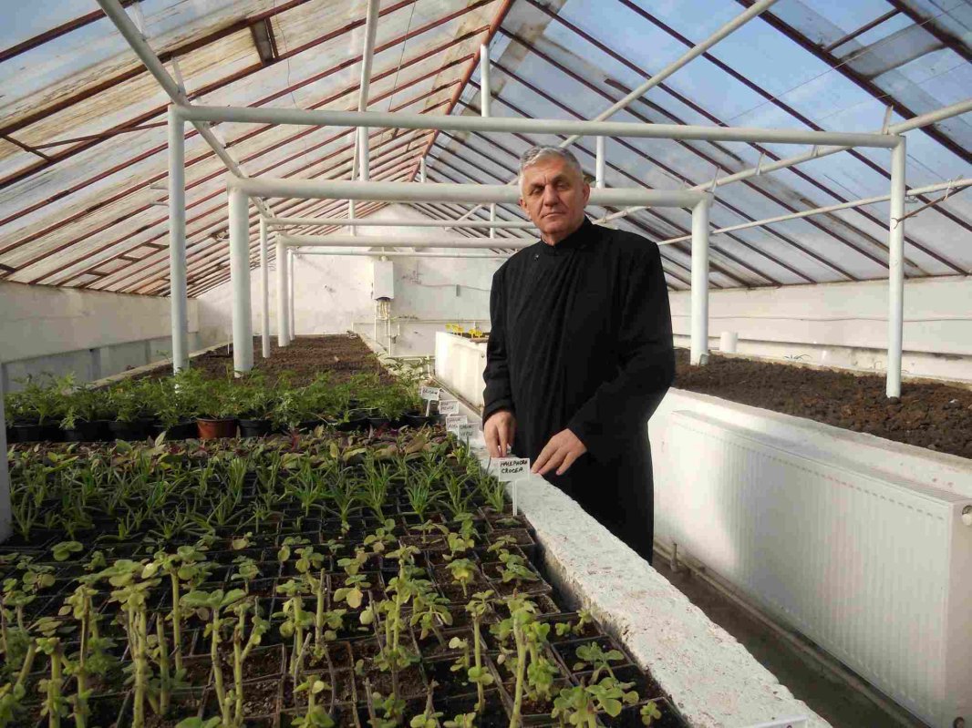 Părintele Costel Vânătoru: „În cercetare avem nevoie întotdeauna de Revelație!” 286941