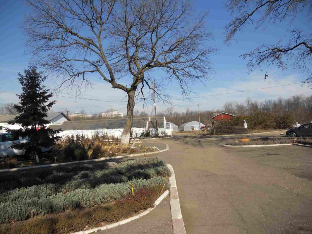 Părintele Costel Vânătoru: „În cercetare avem nevoie întotdeauna de Revelație!” 286942