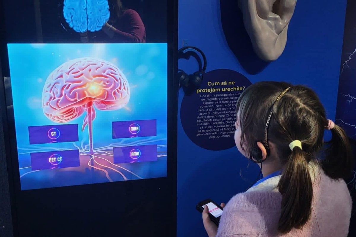 Fascinanta lume a creierului 287574