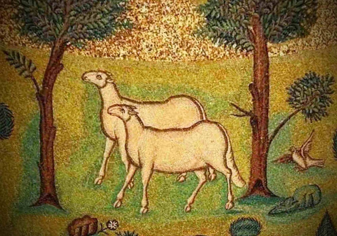 Cine sunt „acești frați ai Mei, prea mici” 288035