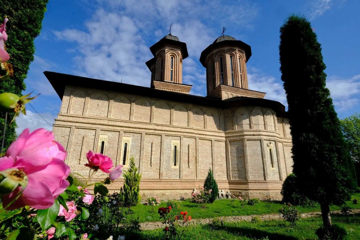 Sclipirile Luminii 288037